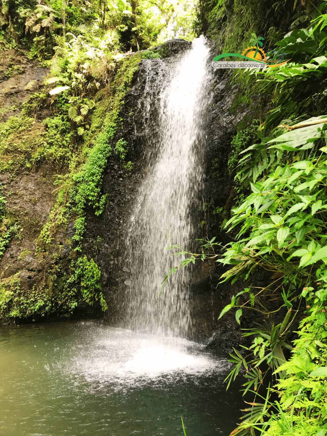 Caraïbes Découverte 4x4