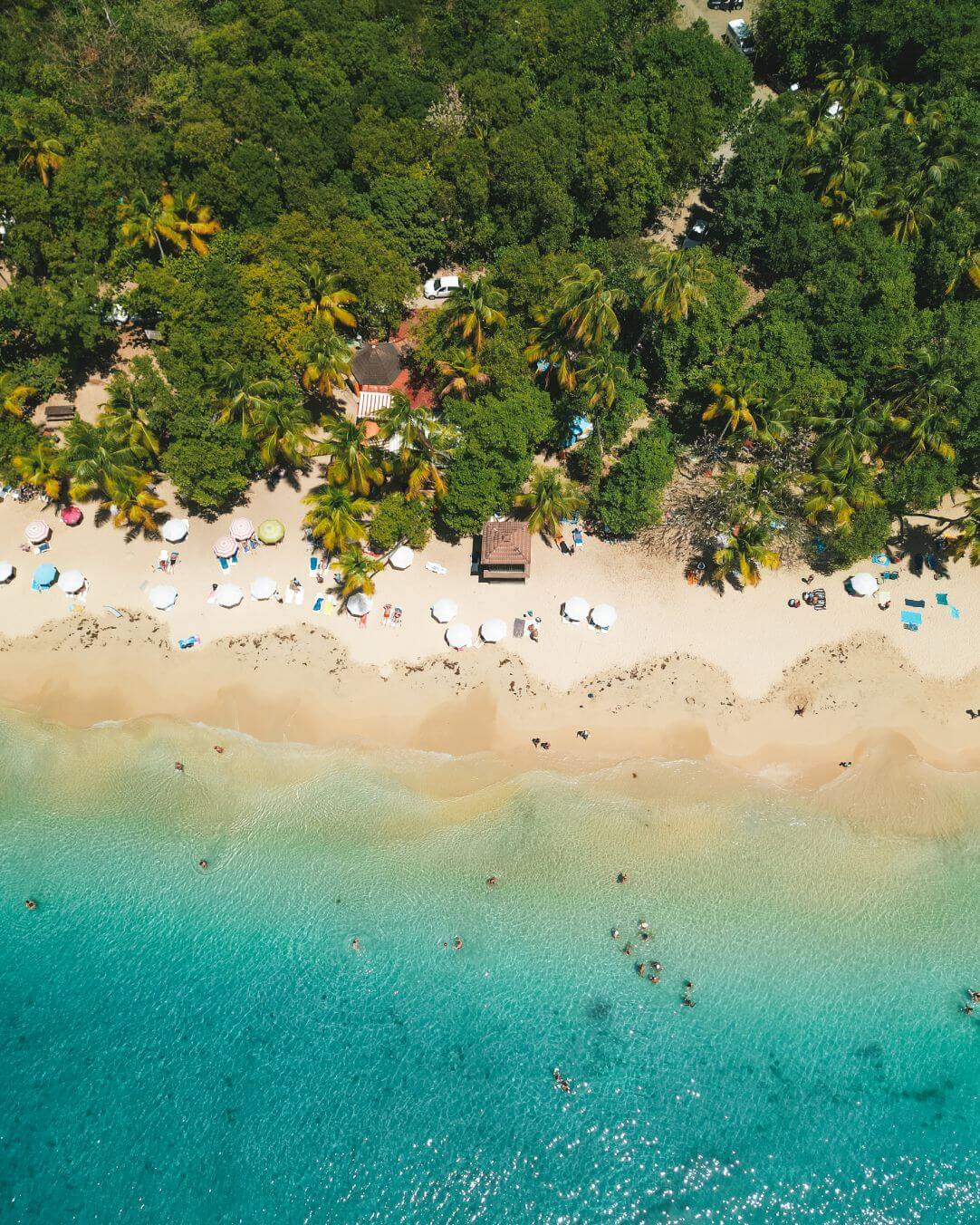 Caraïbes Découverte Martinique